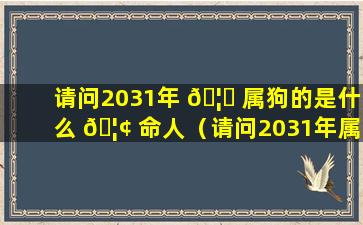 请问2031年 🦉 属狗的是什么 🦢 命人（请问2031年属狗的是什么命人呢）